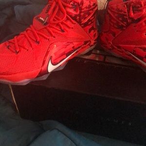 Lebron 12’s